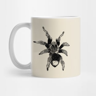 Tarantula Mug